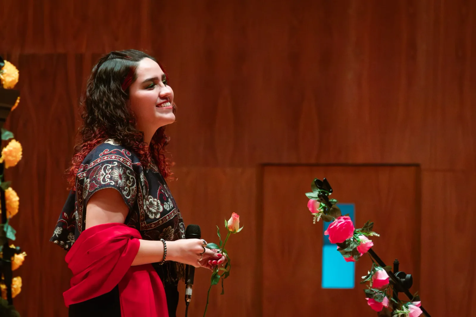 concert photography by JRMGraphy